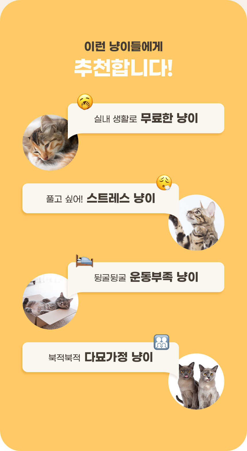 [NEW신상][무료배송] 내꼬냥 캣닢향 가득 10CM 대왕 데굴이 양모 캣닢 캣볼 4종 6번째