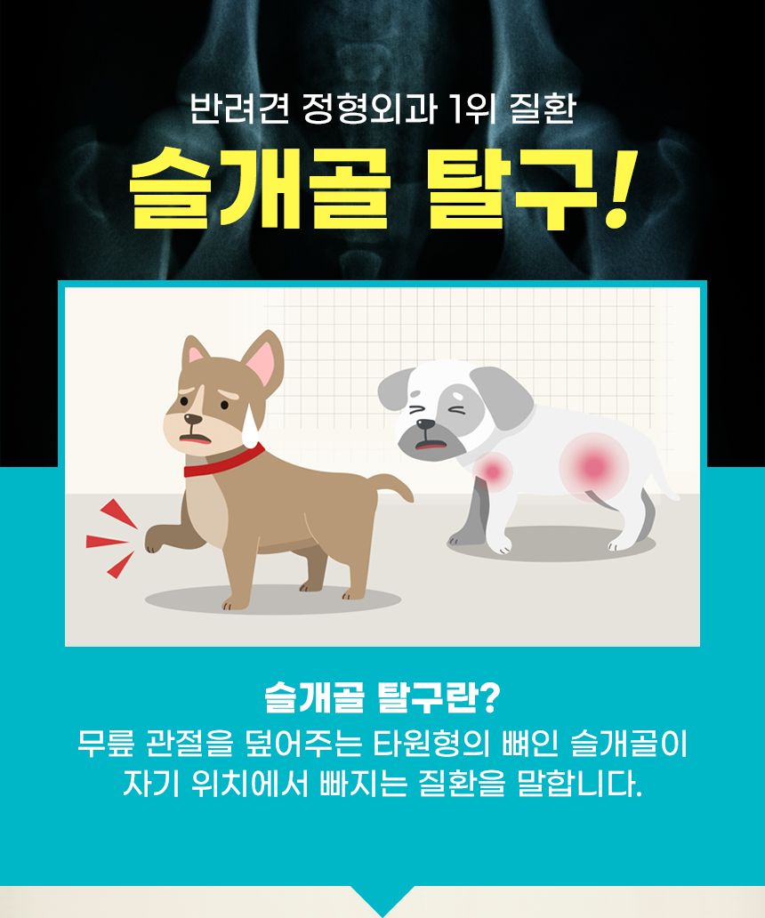 [무료배송] 뉴메디션 포 시니어 조인트 60g 4번째