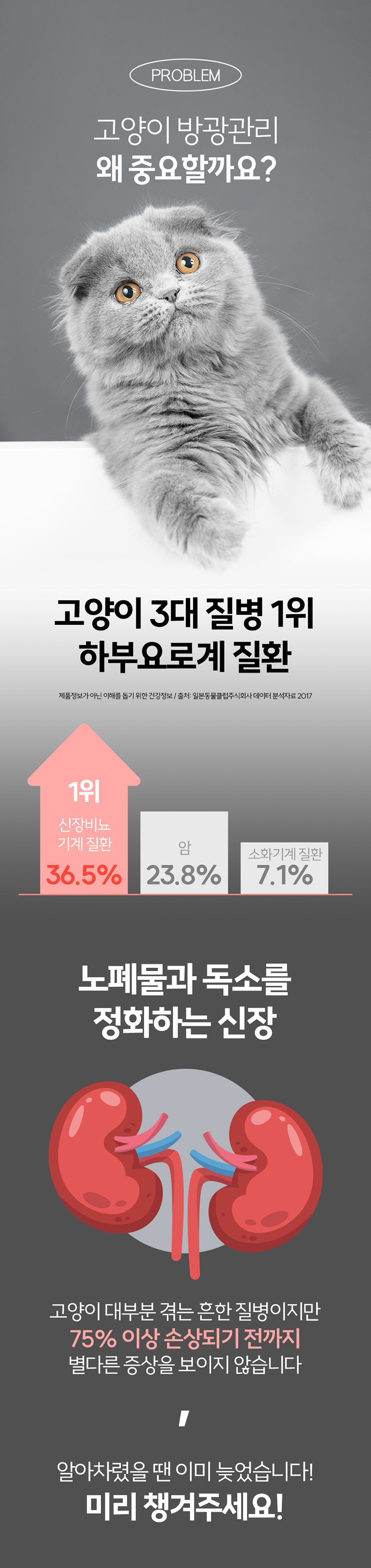 [무료배송] 리스펫 캣 하루포캣 신장 10g*30p 1번째