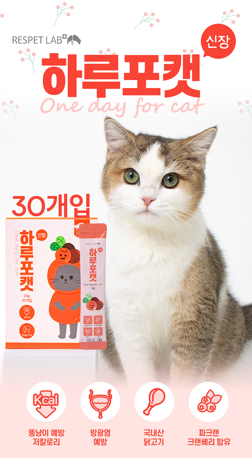 [무료배송] 리스펫 캣 하루포캣 신장 10g*30p 2번째