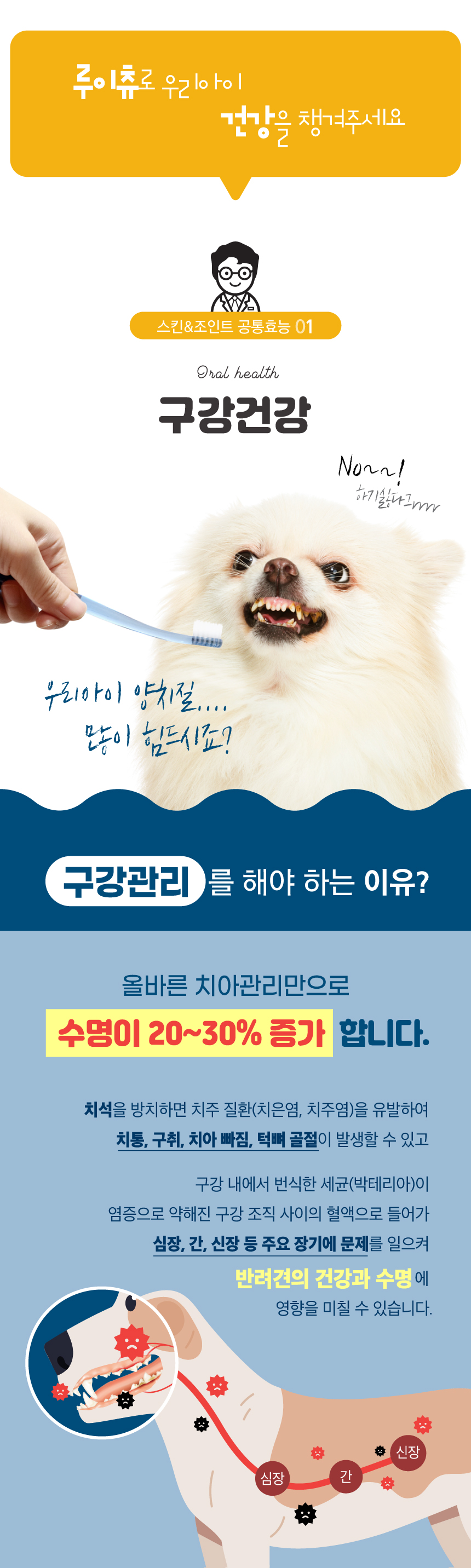 [NEW신상][무료배송] 루이츄 덴탈껌 피부 153g (2개) 9번째