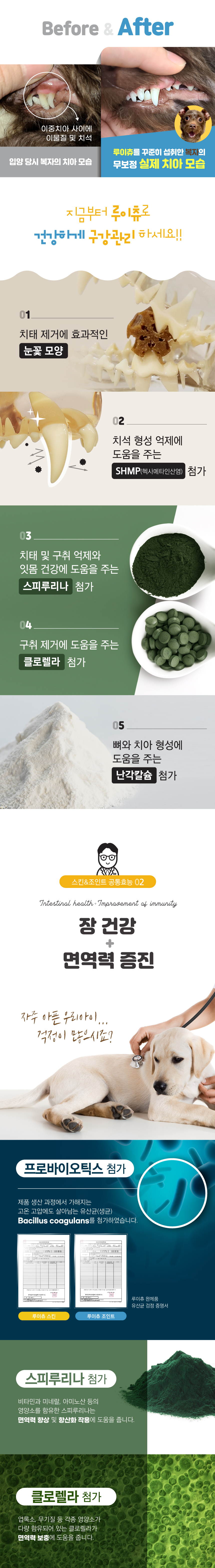 [NEW신상][무료배송] 루이츄 덴탈껌 피부 153g (2개) 11번째