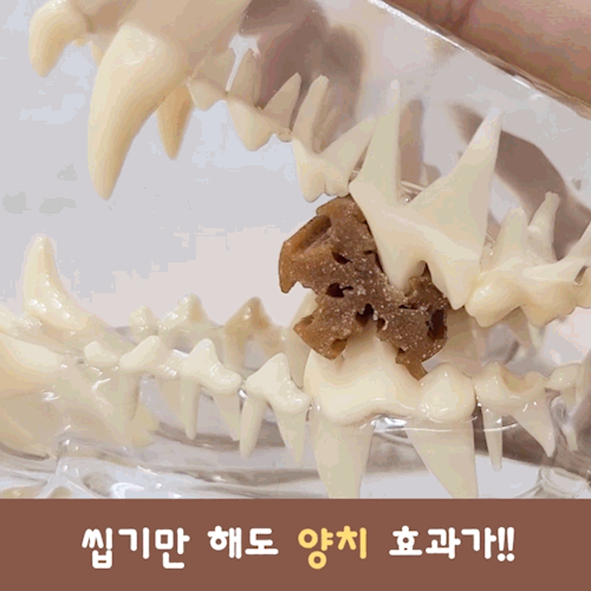 [NEW신상][무료배송] 루이츄 덴탈껌 피부 153g (2개) 10번째