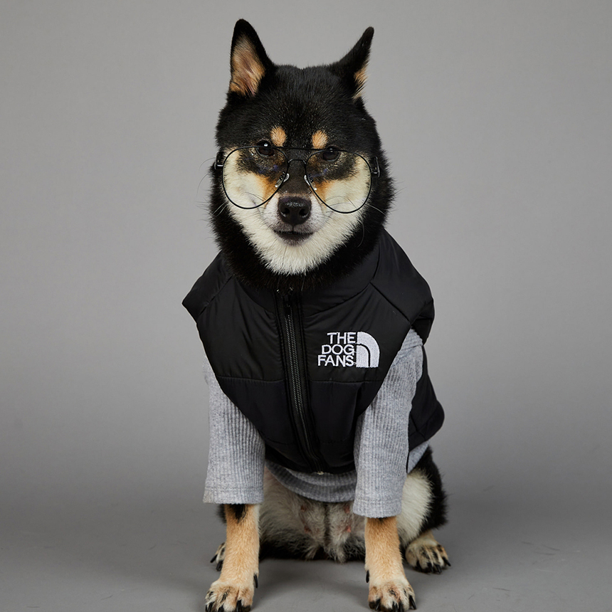 [신상특가] [무료배송] 모야펫 더도그팬즈 패딩조끼 (옐로/그린/블랙) S-5XL 25번째