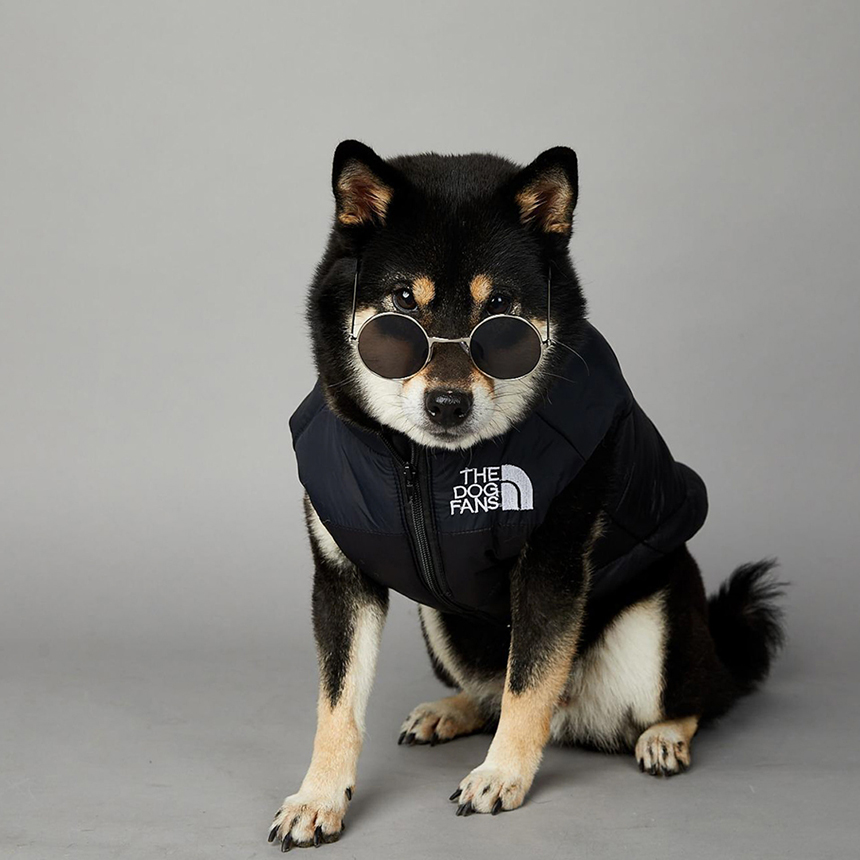 [신상특가] [무료배송] 모야펫 더도그팬즈 패딩조끼 (옐로/그린/블랙) S-5XL 43번째