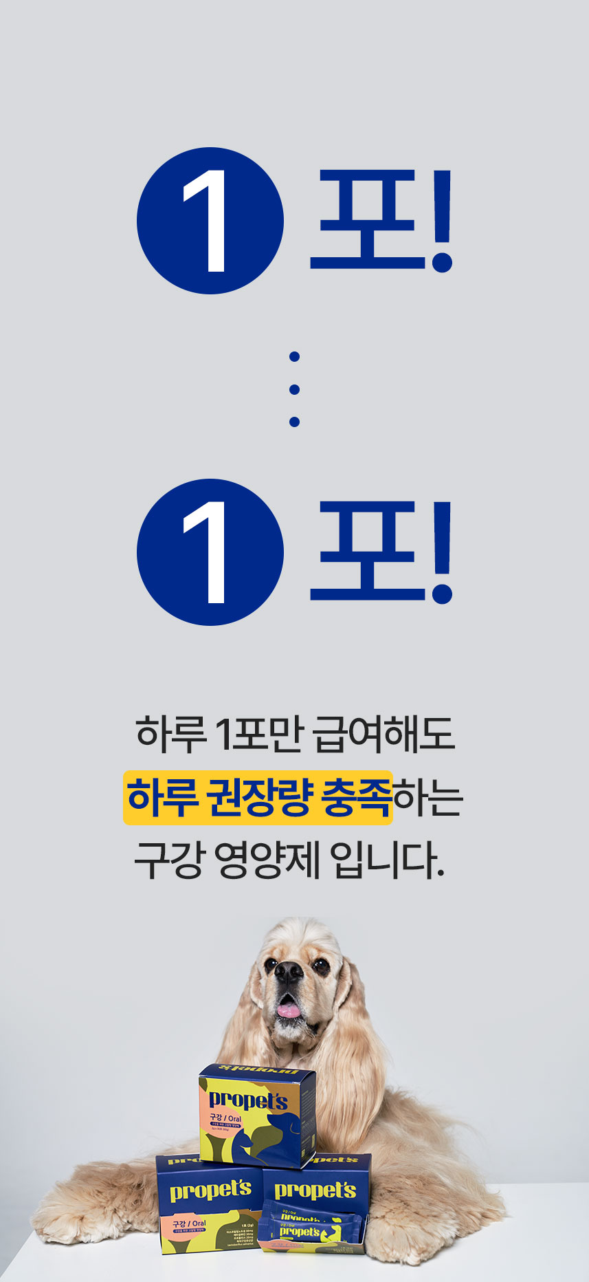 [체험단] 애니힐 프로페츠 구강 영양제 2g x 30p 6번째