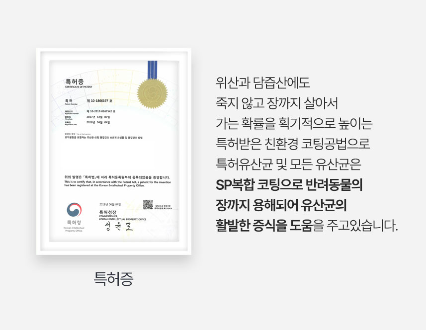 [체험단] 애니힐 프로페츠 구강 영양제 2g x 30p 11번째