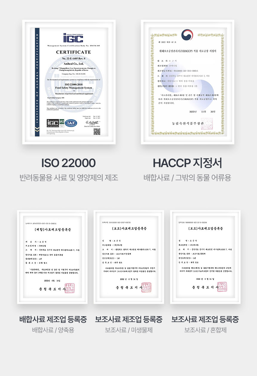 [체험단] 애니힐 프로페츠 구강 영양제 2g x 30p 17번째