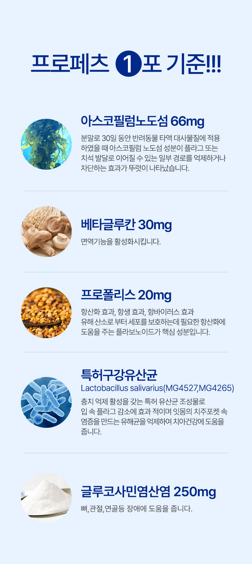 [체험단] 애니힐 프로페츠 구강 영양제 2g x 30p 7번째