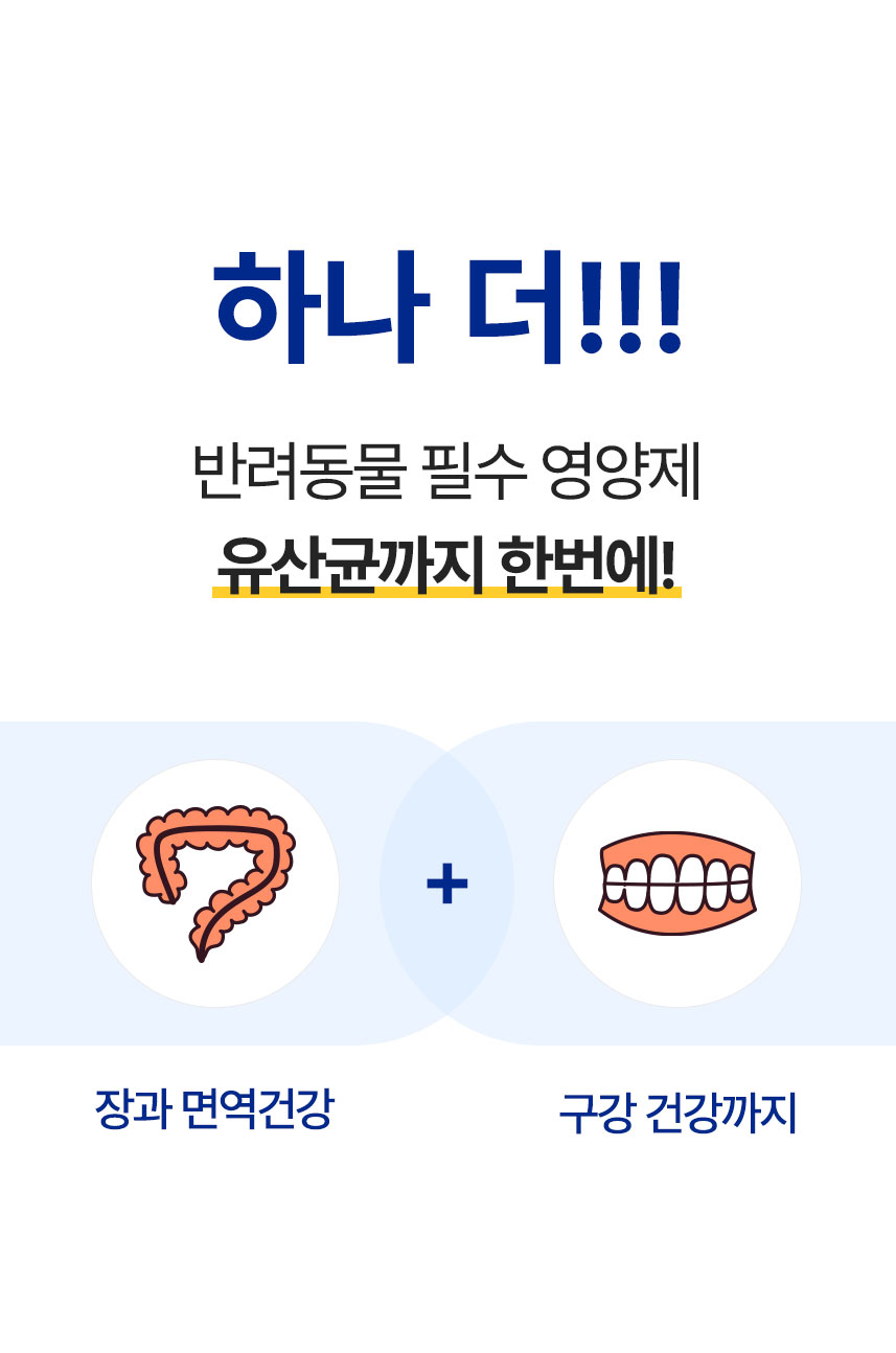 [체험단] 애니힐 프로페츠 구강 영양제 2g x 30p 8번째