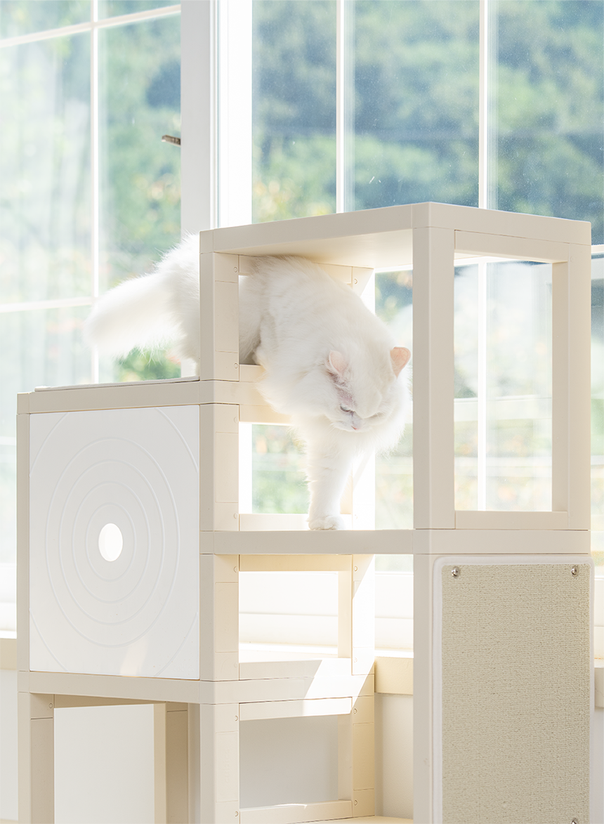 [NEW신상][무료배송] 큐빅스펫 고양이 먼치킨 낮은 타워 2X3+ 커버 세트 6color +스크래쳐1장 포함 45번째