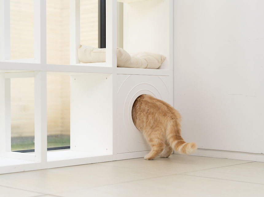 [NEW신상][무료배송] 큐빅스펫 고양이 먼치킨 낮은 타워 2X3+ 커버 세트 6color +스크래쳐1장 포함 33번째