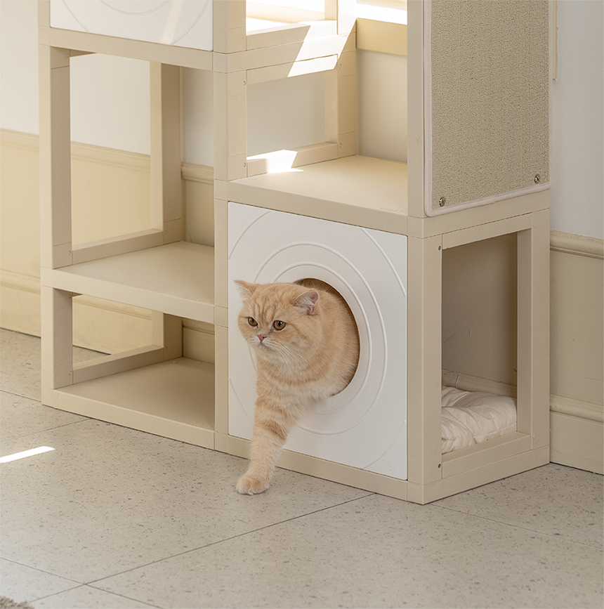 [NEW신상][무료배송] 큐빅스펫 고양이 먼치킨 낮은 타워 2X3+ 커버 세트 6color +스크래쳐1장 포함 29번째