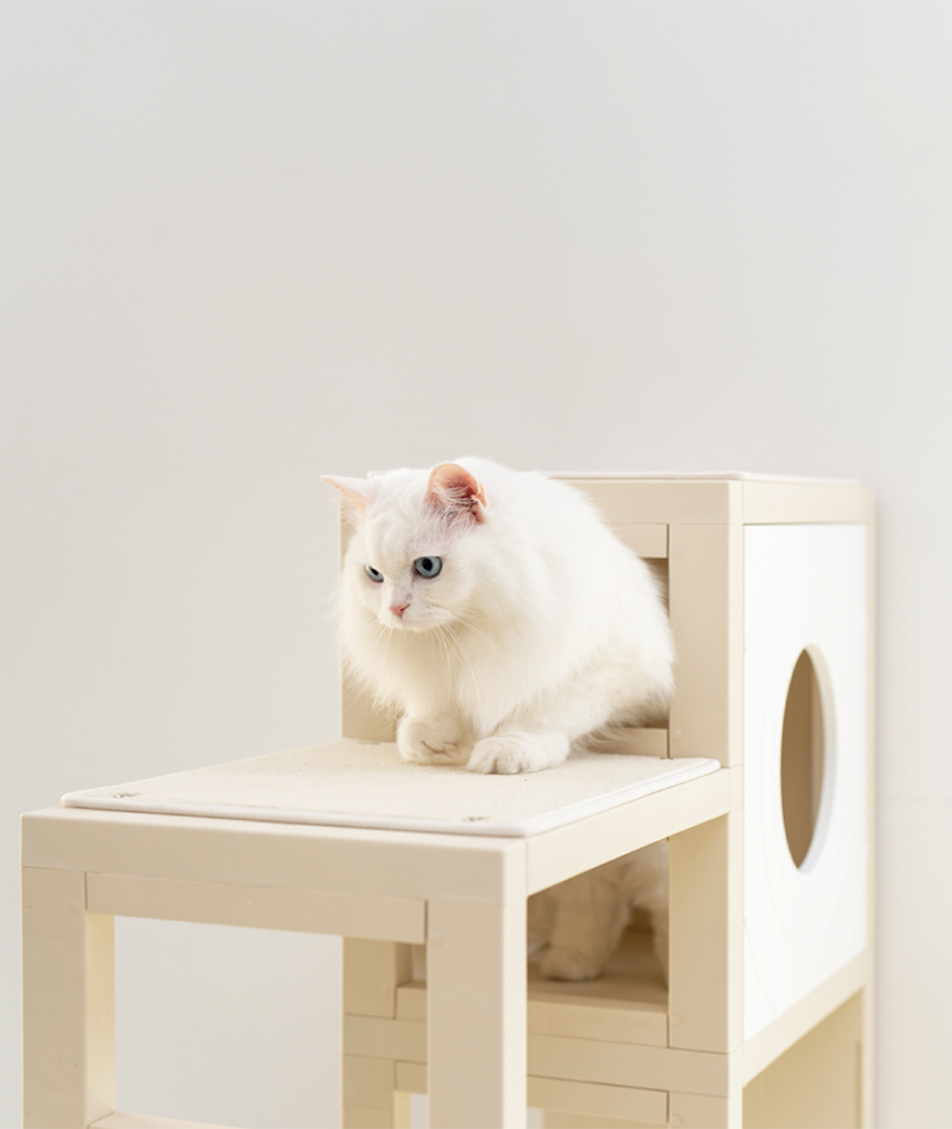 [NEW신상][무료배송] 큐빅스펫 고양이 먼치킨 낮은 타워 2X3+ 커버 세트 6color +스크래쳐1장 포함 31번째