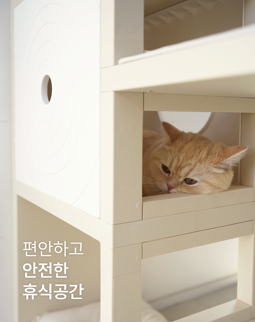 [NEW신상][무료배송] 큐빅스펫 고양이 먼치킨 낮은 타워 2X3+ 커버 세트 6color +스크래쳐1장 포함 34번째