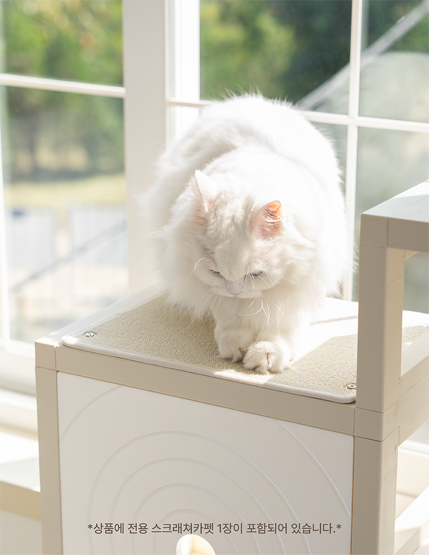 [NEW신상][무료배송] 큐빅스펫 고양이 먼치킨 낮은 타워 2X3+ 커버 세트 6color +스크래쳐1장 포함 37번째