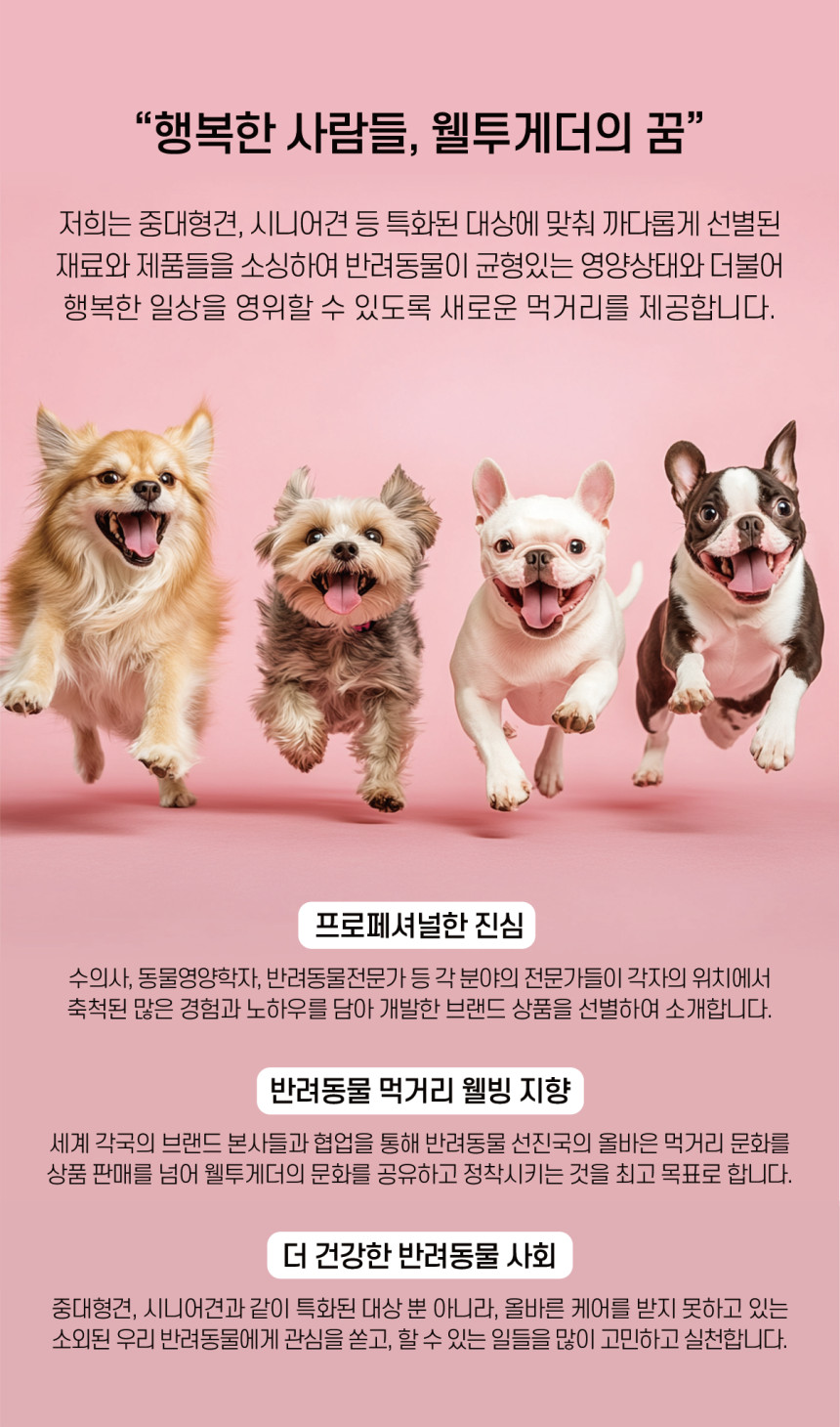 [NEW신상][무료배송] 웰투게더 크로키 악어 육포 오리지널/고구마/호박 100g 11번째