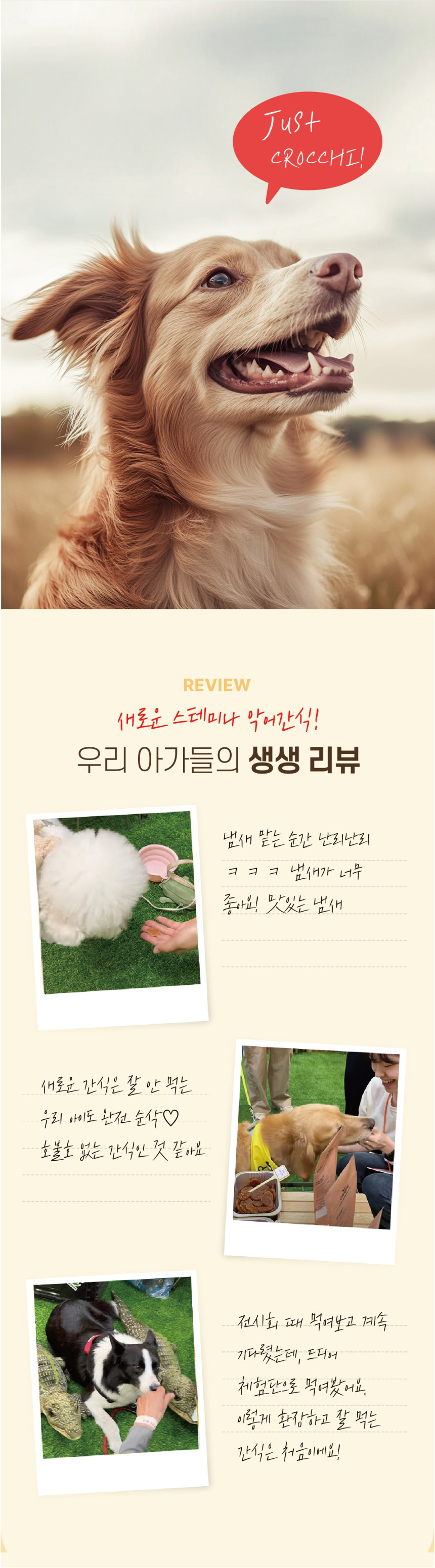 [NEW신상][무료배송] 웰투게더 크로키 악어 육포 오리지널/고구마/호박 100g 1번째