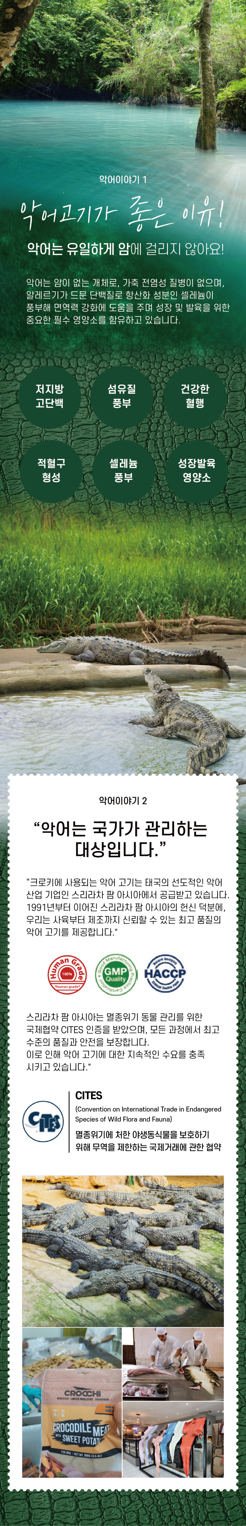 [NEW신상][무료배송] 웰투게더 크로키 악어 육포 오리지널/고구마/호박 100g 3번째