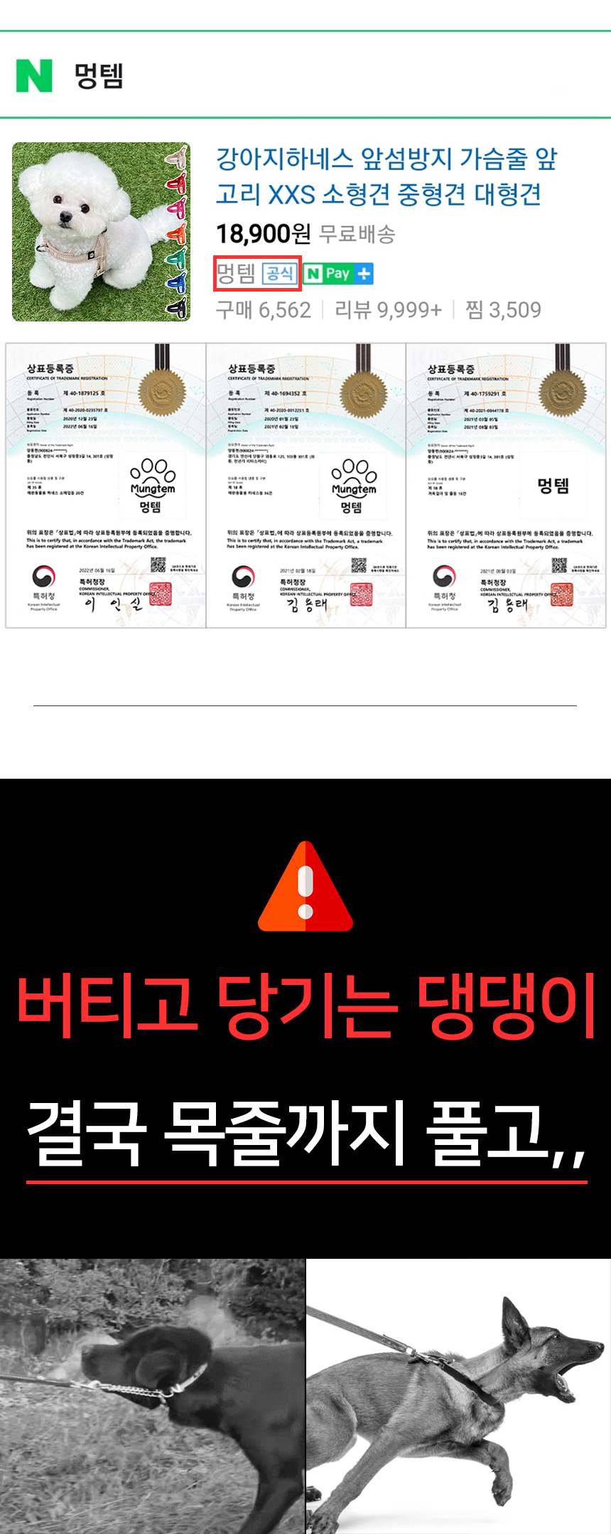 [무료배송] 멍템 멀티 목줄 베이지/레드/핑크/오렌지/그린/블루/블랙 XS-L 3번째