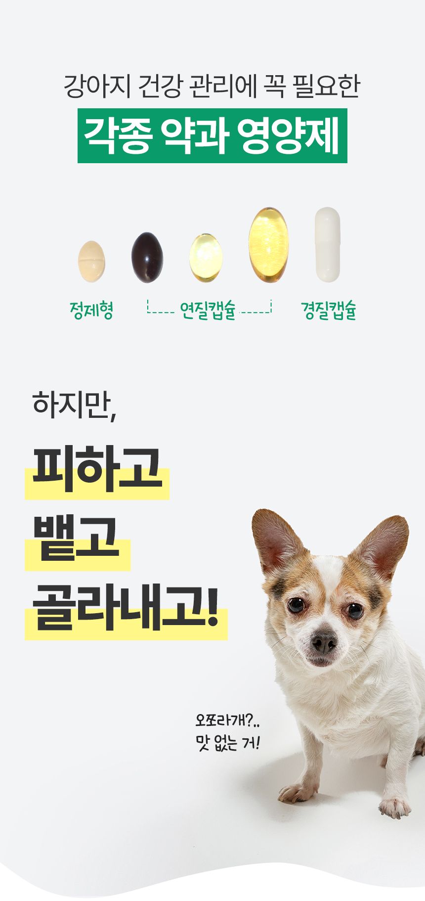 펫생각 독 데일리케얼 이지하이드 트릿 필포켓 30개입 1번째