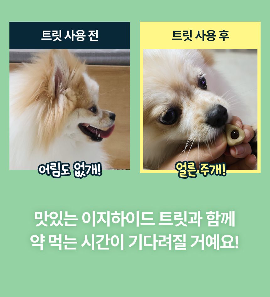 펫생각 독 데일리케얼 이지하이드 트릿 필포켓 30개입 17번째