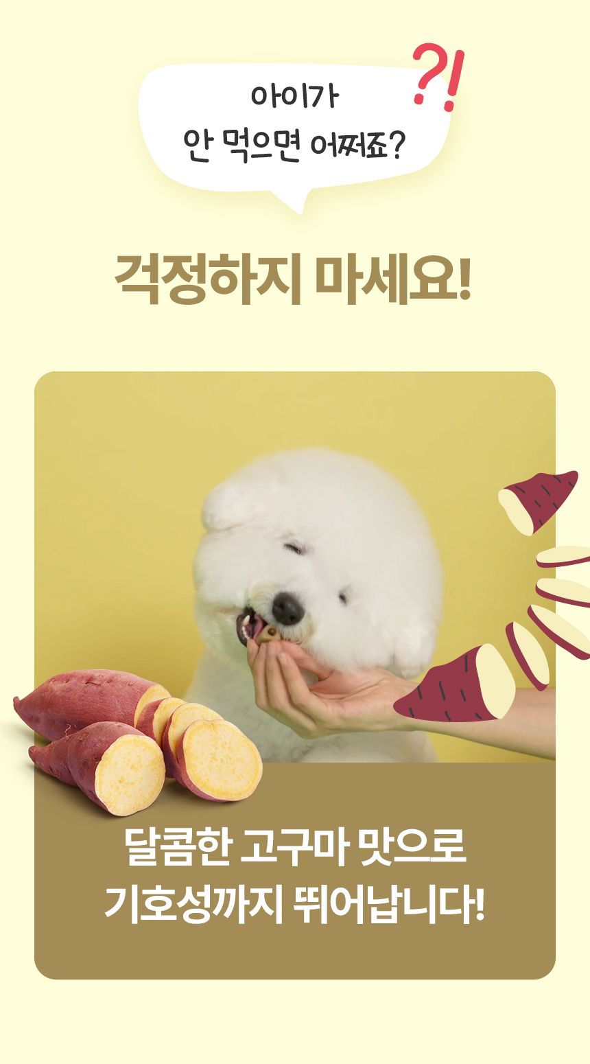 펫생각 독 데일리케얼 이지하이드 트릿 필포켓 30개입 11번째