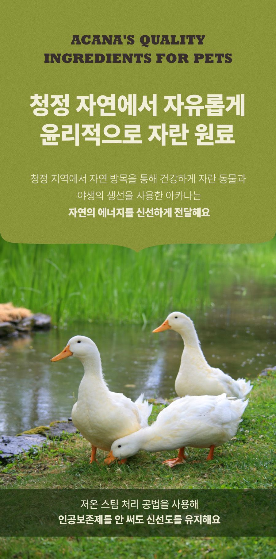 아카나 캣 그래스랜드 340g 7번째