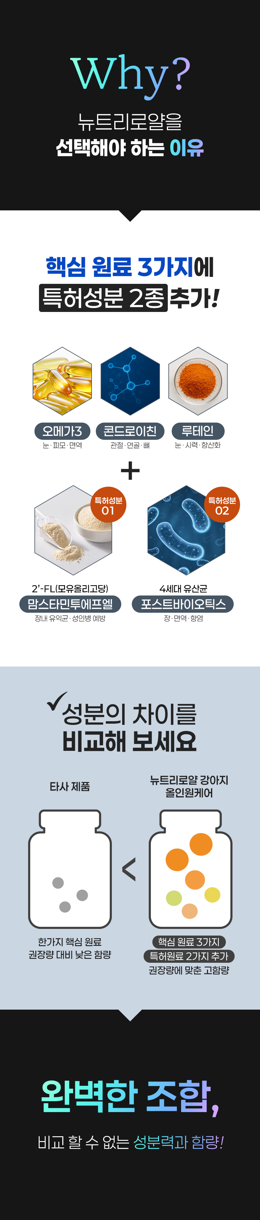 [무료배송] 뉴트리로얄 독 올인원케어 60g 13번째