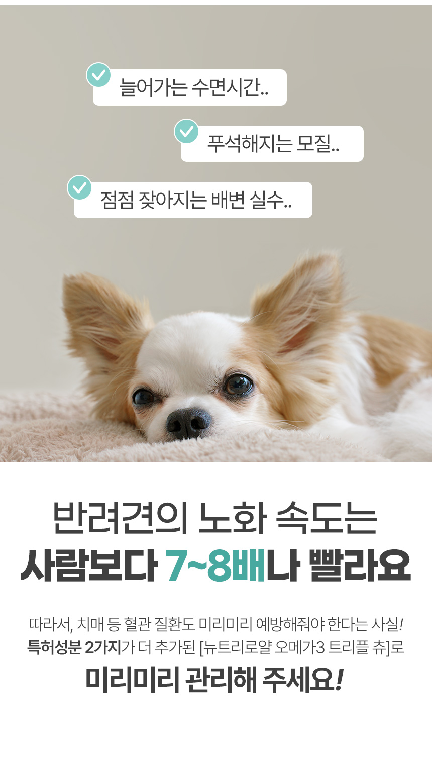 [NEW신상][무료배송] 뉴트리로얄 독 오메가3 피모&면역 60g 5번째