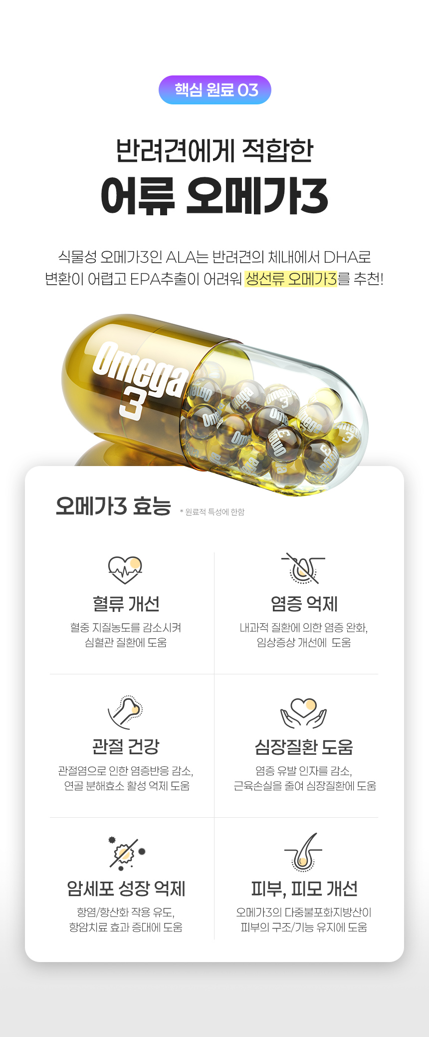 [무료배송] 뉴트리로얄 독 올인원케어 60g 16번째