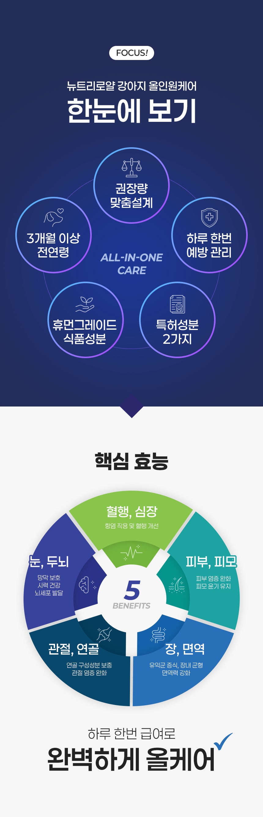 [무료배송] 뉴트리로얄 독 올인원케어 60g 10번째