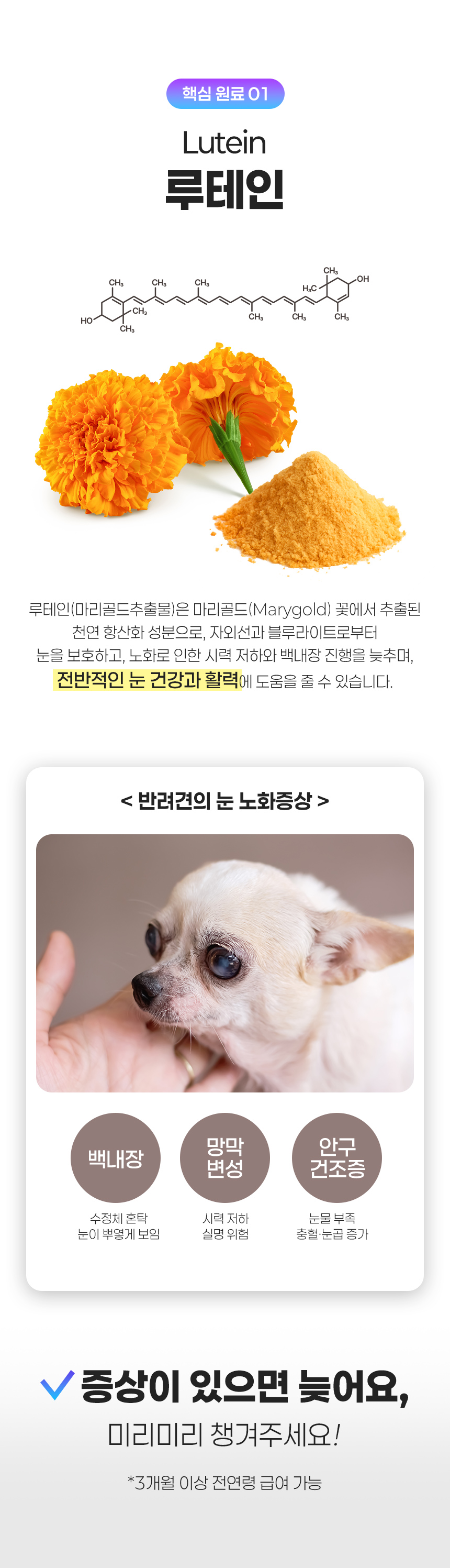 [무료배송] 뉴트리로얄 독 올인원케어 60g 14번째