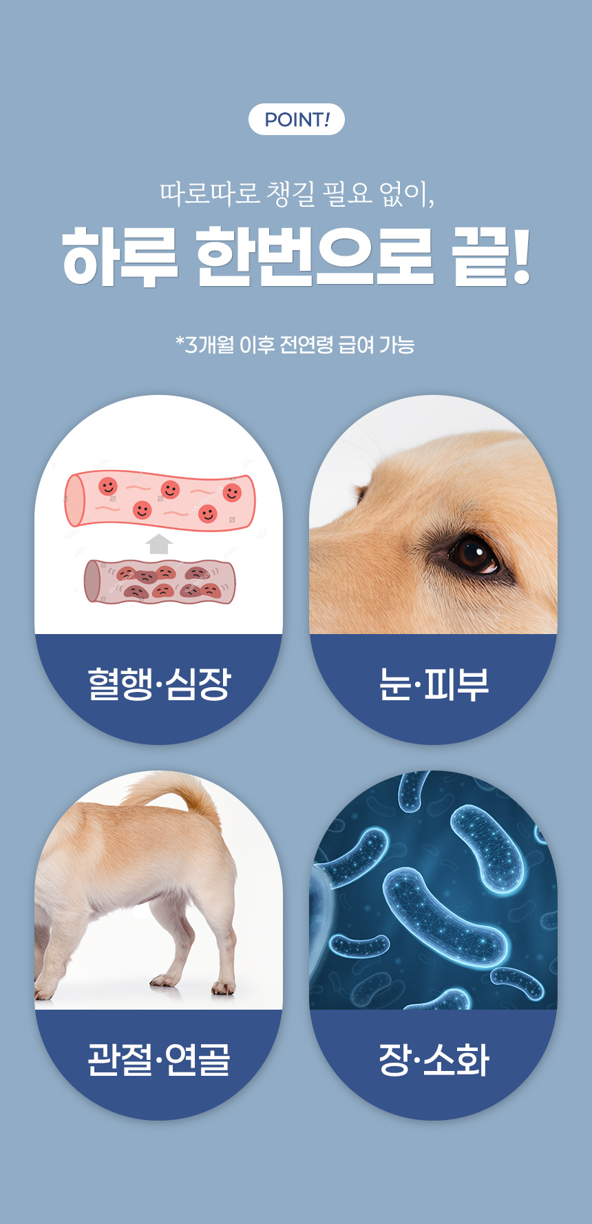 [무료배송] 뉴트리로얄 독 올인원케어 60g 9번째