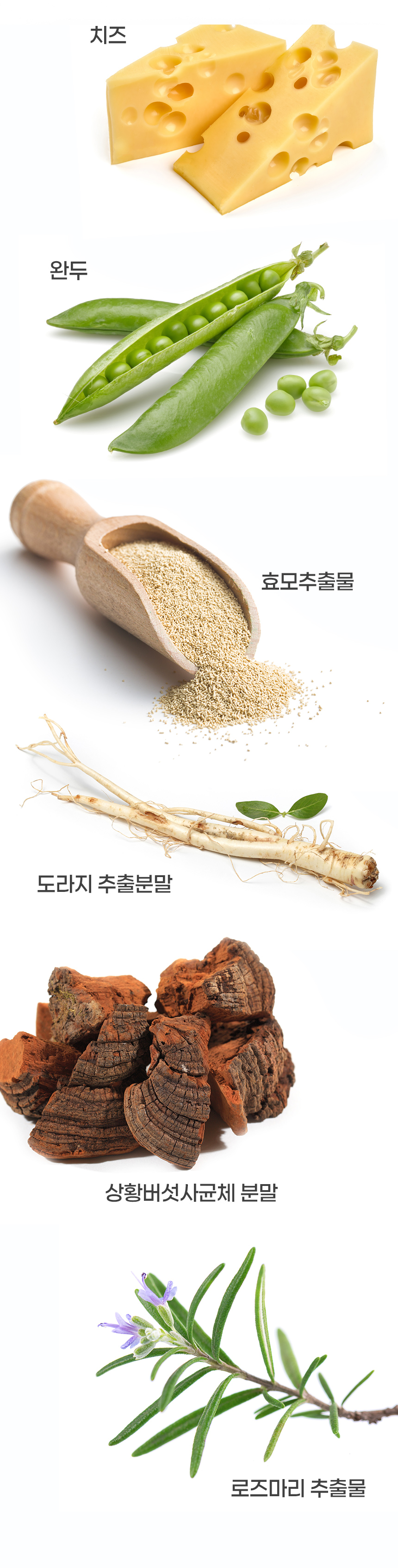 [무료배송] 뉴트리로얄 독 올인원케어 60g 20번째