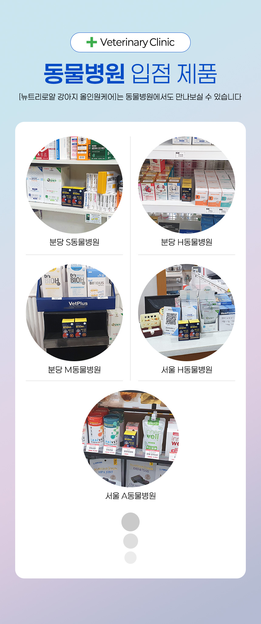 [무료배송] 뉴트리로얄 독 올인원케어 60g 5번째