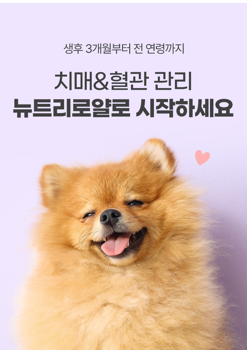 [NEW신상][무료배송] 뉴트리로얄 독 오메가3 피모&면역 60g 6번째