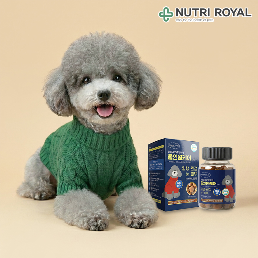 [무료배송] 뉴트리로얄 독 올인원케어 60g 18번째