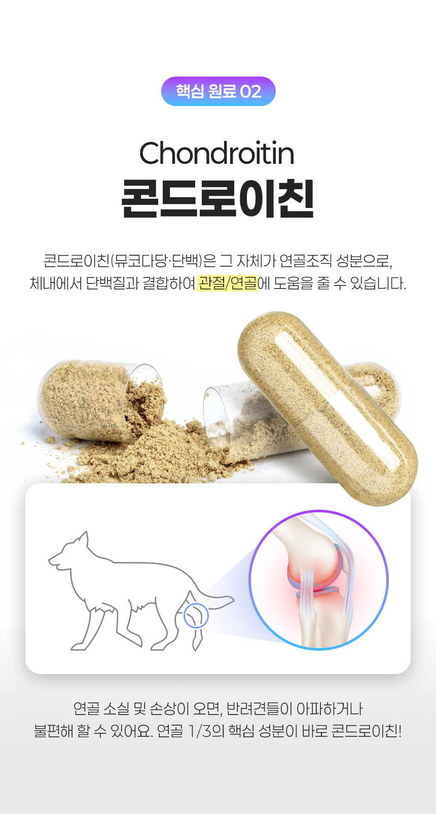 [무료배송] 뉴트리로얄 독 올인원케어 60g 15번째