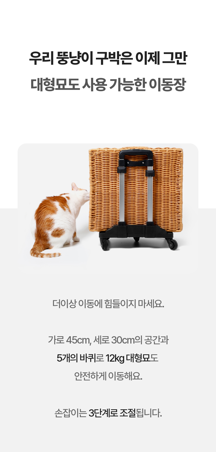 [NEW신상][무료배송] kmmmm 수제작 이동식 라탄 캐리어 6번째