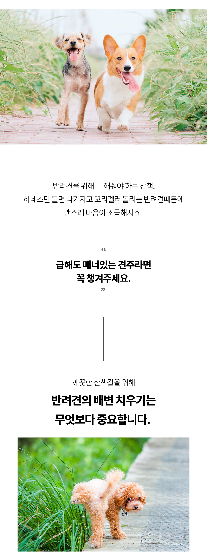 [무료배송] 니즈더펫 인터라켄 푸푸백 4번째