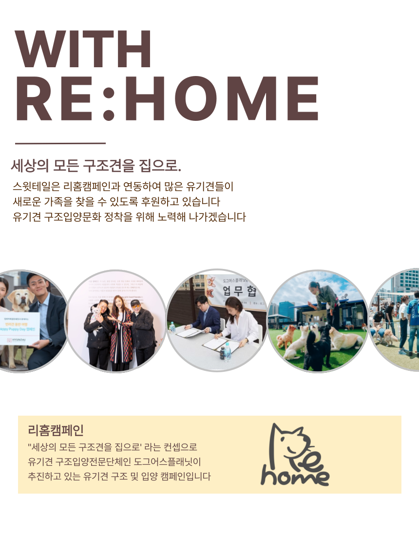 [NEW신상][무료배송] 스윗테일 핸드메이드 스트라이프 하네스 L 34번째