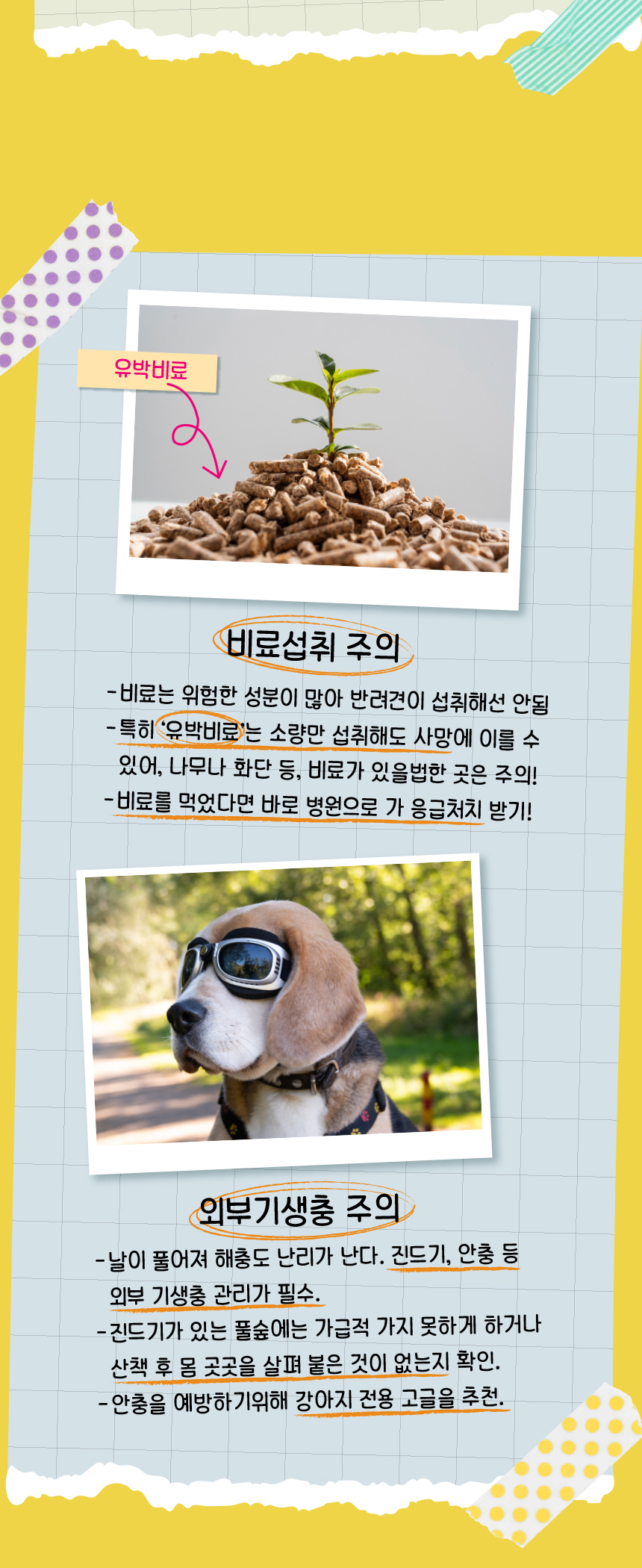 [무료배송] 애구애구 로맨틱 플라워 스커트 핑크/스카이  XS-XL 10번째