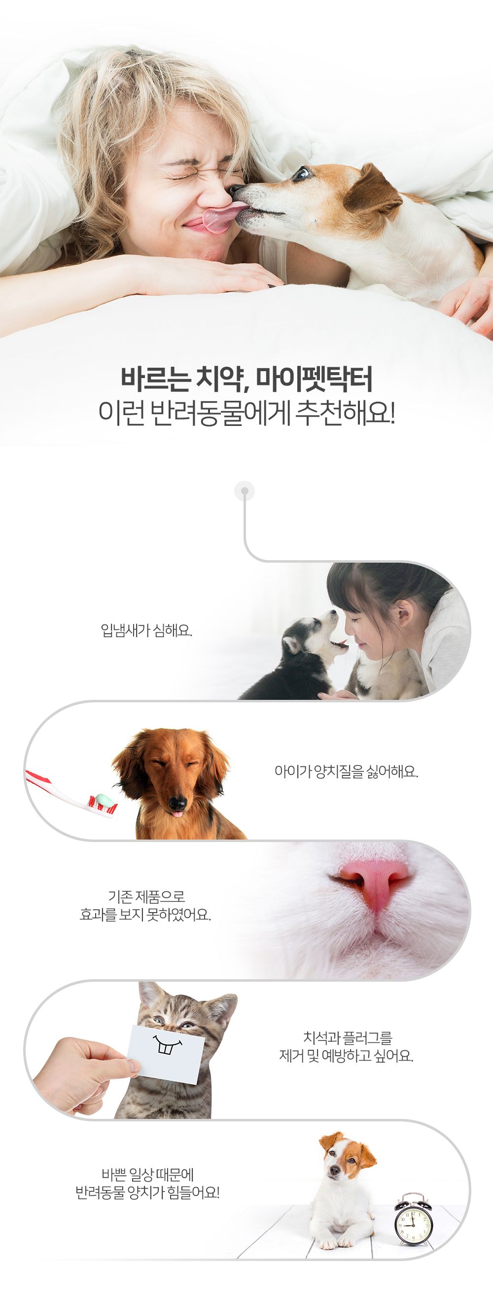 [창고대방출] 마이펫닥터 펫 덴탈 겔 100ml 8번째