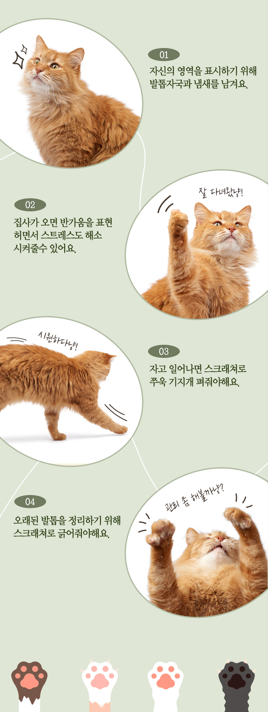 [무료배송] 펫토리아 한층뚝딱 스탠드 선인장 삼베 고양이 타워 스크래쳐 3번째