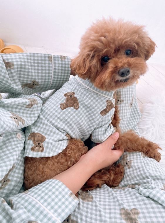 [무료배송] 찰리롤리 디키 곰 체크 파자마 민트/블루 S-2XL 6번째