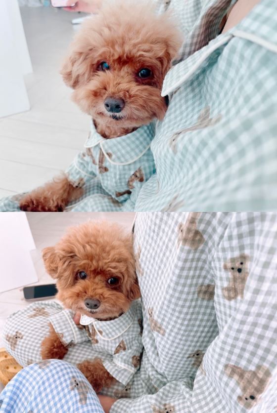 [무료배송] 찰리롤리 디키 곰 체크 파자마 민트/블루 S-2XL 9번째