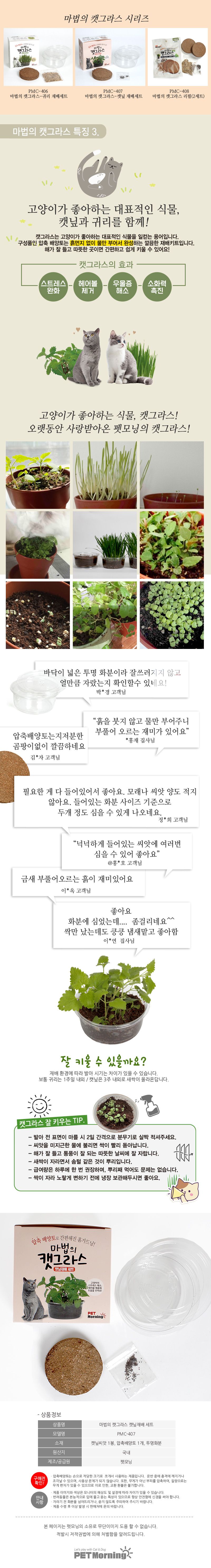 펫모닝 마법의 캣그라스 캣닢 재배세트 4번째