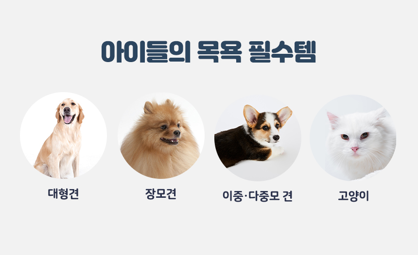 [무료배송][1+1] 올웨이즈올펫 수건 극세사 펫타올 M 40*40 14번째