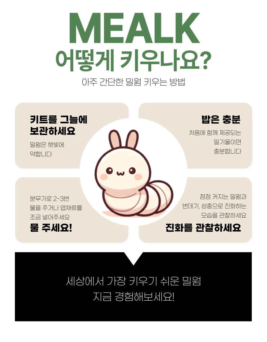 [무료배송] 나만의 미니 밀웜 키트 밀크-MEALK 6번째